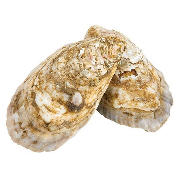 Blue Point Cape Neddick Oysters Nutrition & Ingredients GreenChoice