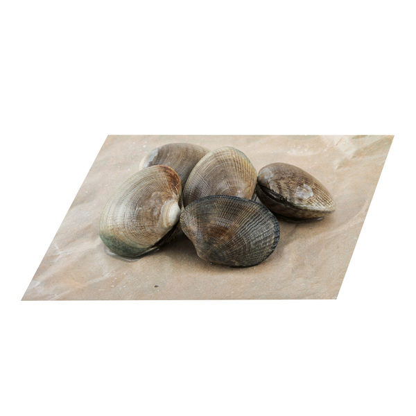 Manila Clams Nutrition & Ingredients GreenChoice